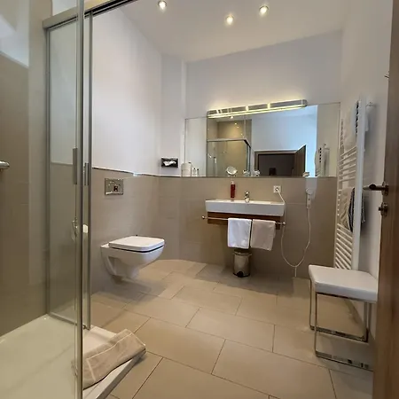 Saline Hotel Budingen