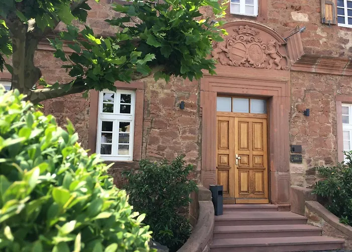 Saline Бюдинген