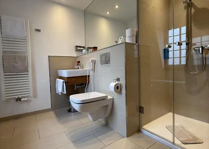 Отель Saline 3*