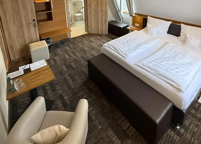 Saline 3* Бюдинген